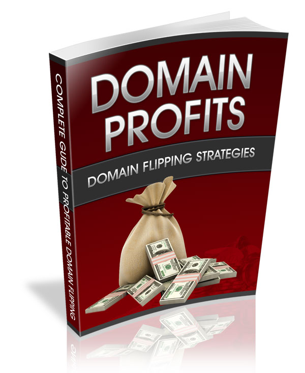 Domain Profits Choosing Winning Domains