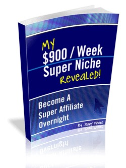$900 Week Super Niche