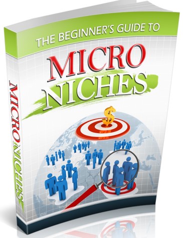 The Beginner’s Guide To Micro Niches